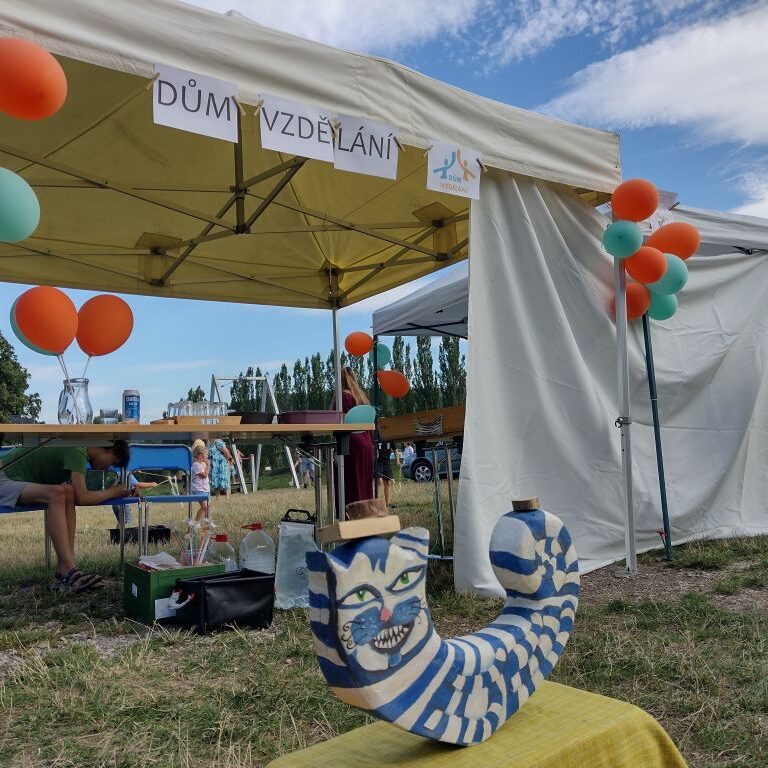 Festival Závodí 01